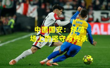 中国国安:绿茵场上的坚守与传承