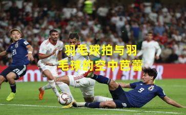 羽毛球拍与羽毛球的空中芭蕾