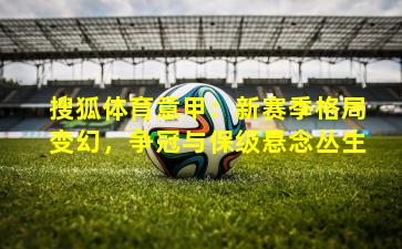 搜狐体育意甲：新赛季格局变幻，争冠与保级悬念丛生