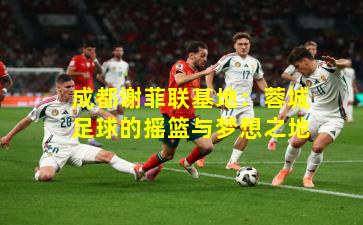 成都谢菲联基地：蓉城足球的摇篮与梦想之地