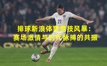 排球新浪体育竞技风暴：赛场激情与时代脉搏的共振