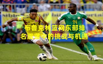 布鲁克林篮网东部排名震荡中的挑战与机遇