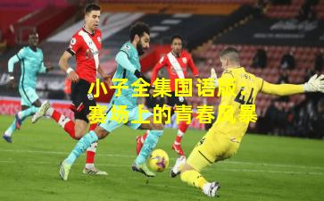 小子全集国语版：赛场上的青春风暴