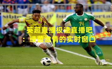 英超直播极速直播吧：绿茵激情的实时窗口
