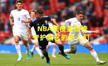 NBA现役盖帽榜：守护禁区的巨人们