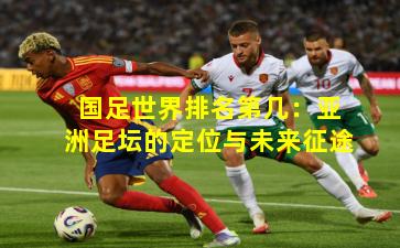 国足世界排名第几：亚洲足坛的定位与未来征途