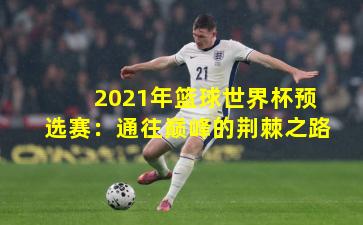 2021年篮球世界杯预选赛：通往巅峰的荆棘之路