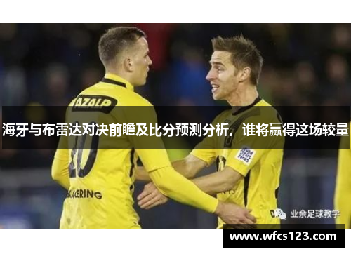 海牙与布雷达对决前瞻及比分预测分析,谁将赢得这场较量